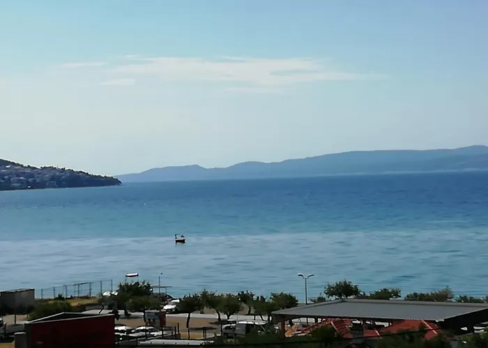 Bugenvilija