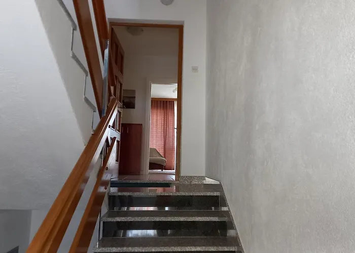 Bugenvilija
