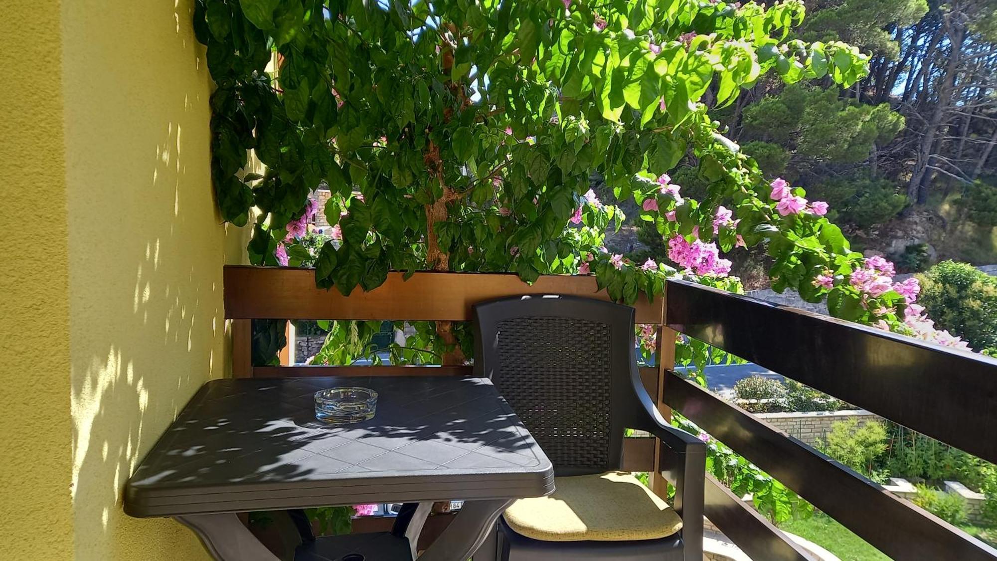 Apartment Bugenvilija *